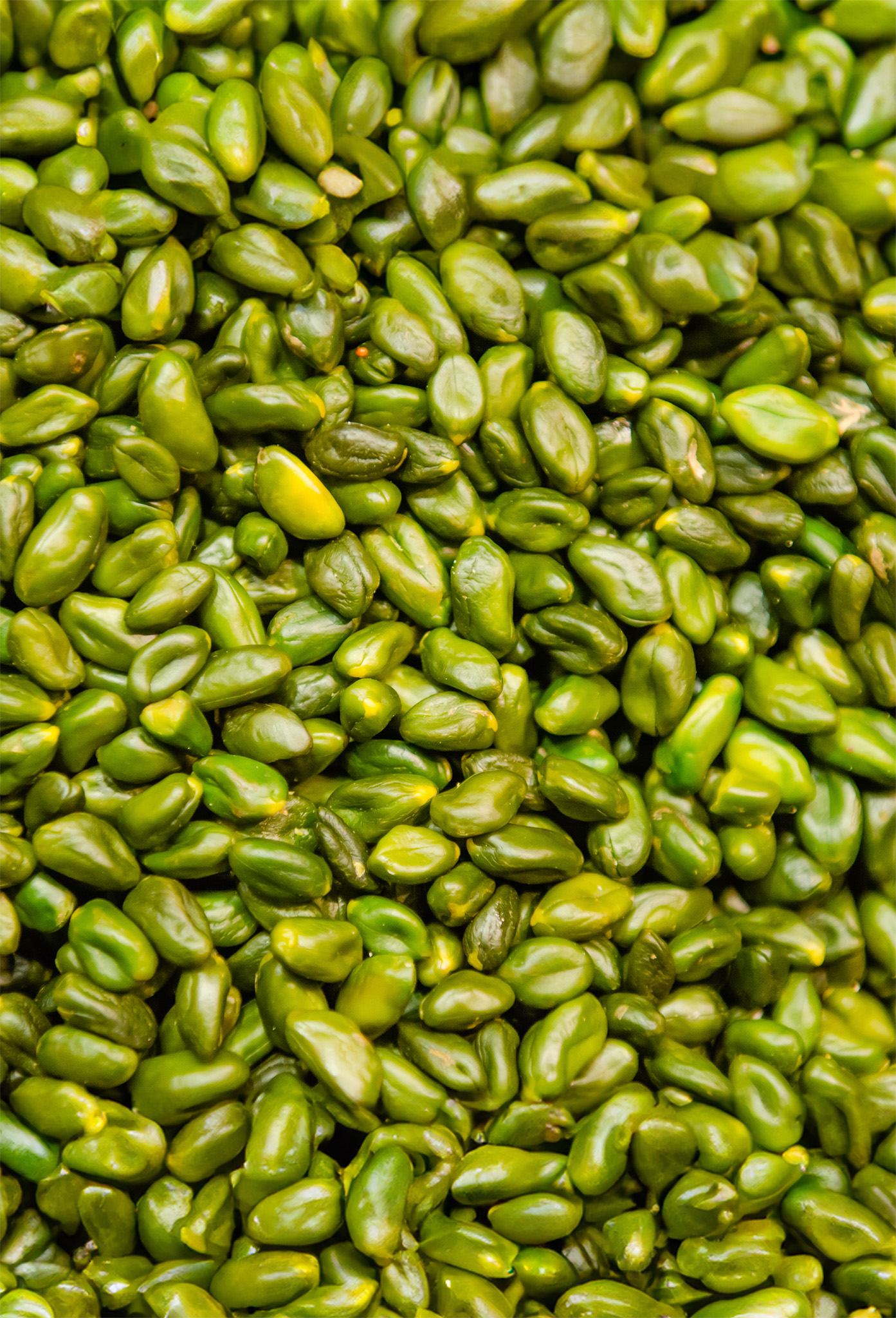 Pistachios in full screen 